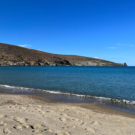 Sea Views - Marble Palace - 2 Floors Tínos エクステリア 写真